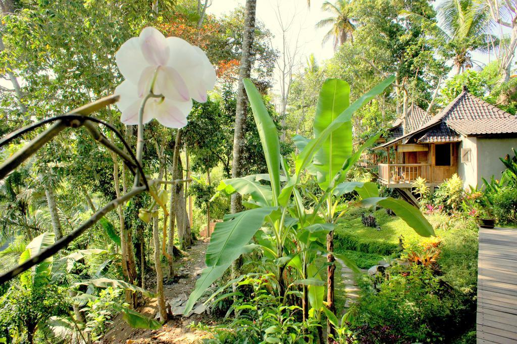 Prashanti Bali Ubud Buitenkant foto