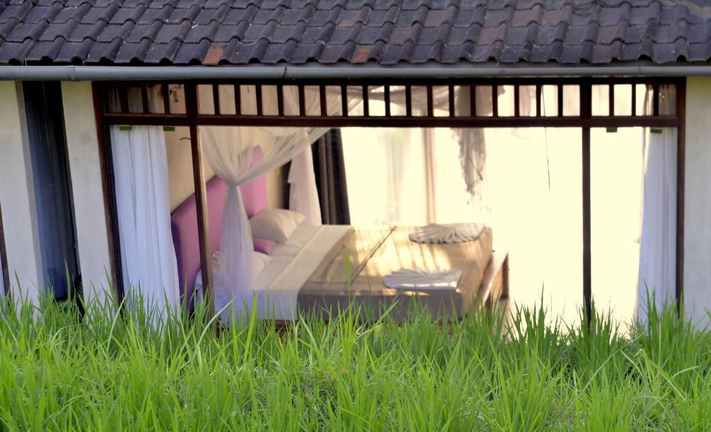 Prashanti Bali Ubud Kamer foto