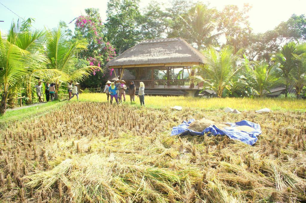 Prashanti Bali Ubud Buitenkant foto