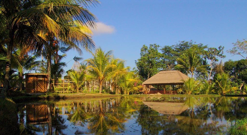 Prashanti Bali Ubud Buitenkant foto