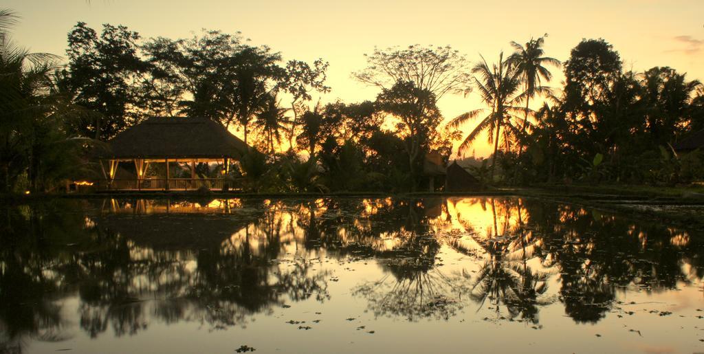 Prashanti Bali Ubud Buitenkant foto